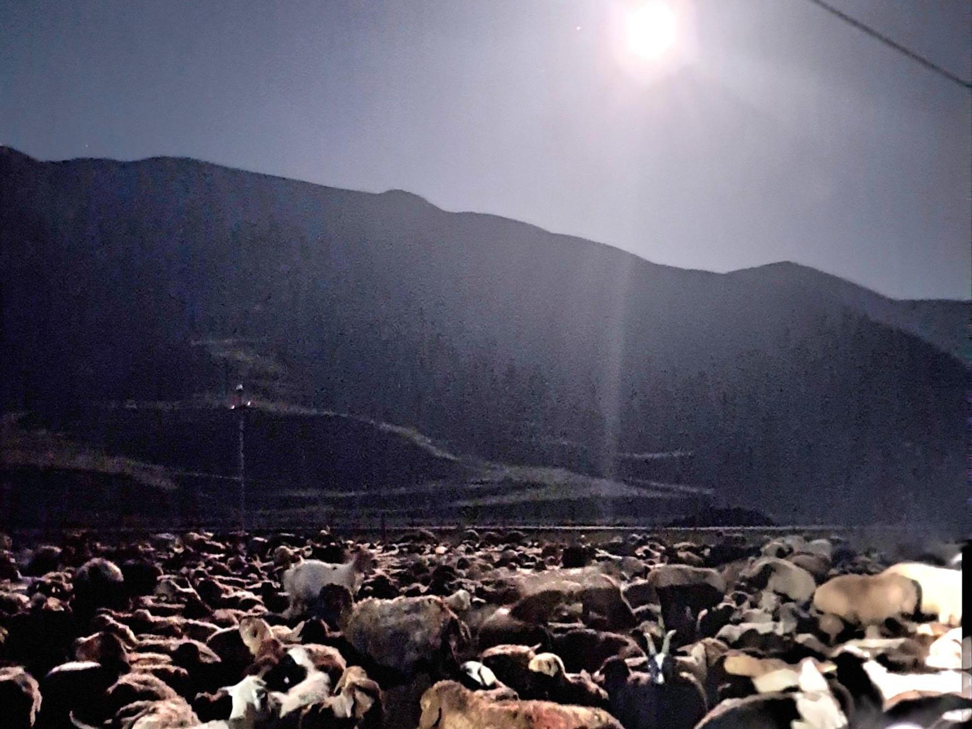 Xinaliq Khinalig Izzet'S Riverside Home Stay Buitenkant foto